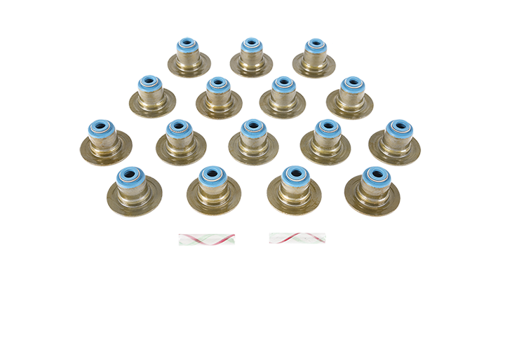 Cylinder Heads & Parts Gaskets, Bolts, Seals, Valves —