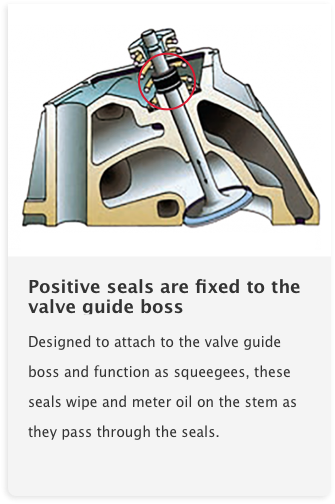 Fel-Pro_InsideFel-ProValveStemSeals_120619_Card-02 Fel-Pro_InsideFel-ProValveStemSeals_120619_Card-02